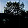 Translucent Black glass finish