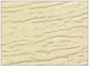 Almond Invicta garage door color swatch