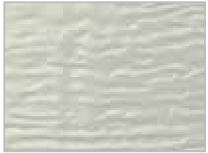 White Invicta garage door color swatch
